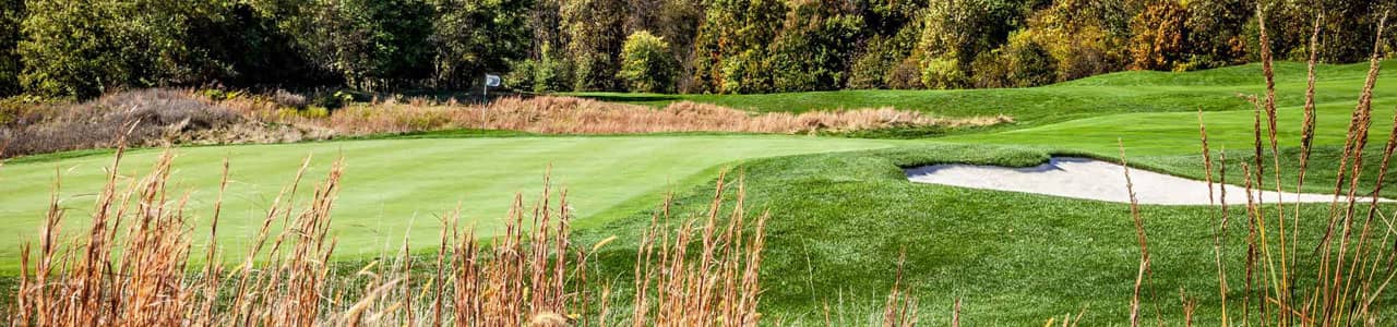 Lush green golf course with a sand trap and tall grass in the foreground, surrounded by trees in autumn colors.