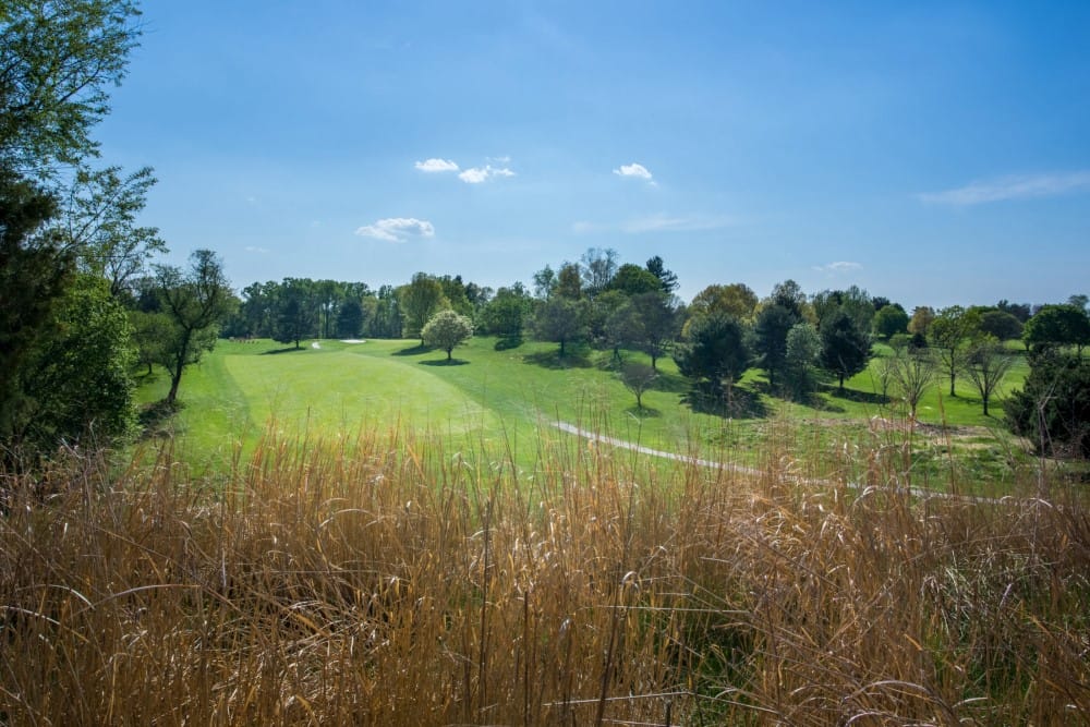 A scenic view of a lush green golf course with trees scattered throughout, under a clear blue sky. Tall brown grass is visible in the foreground.