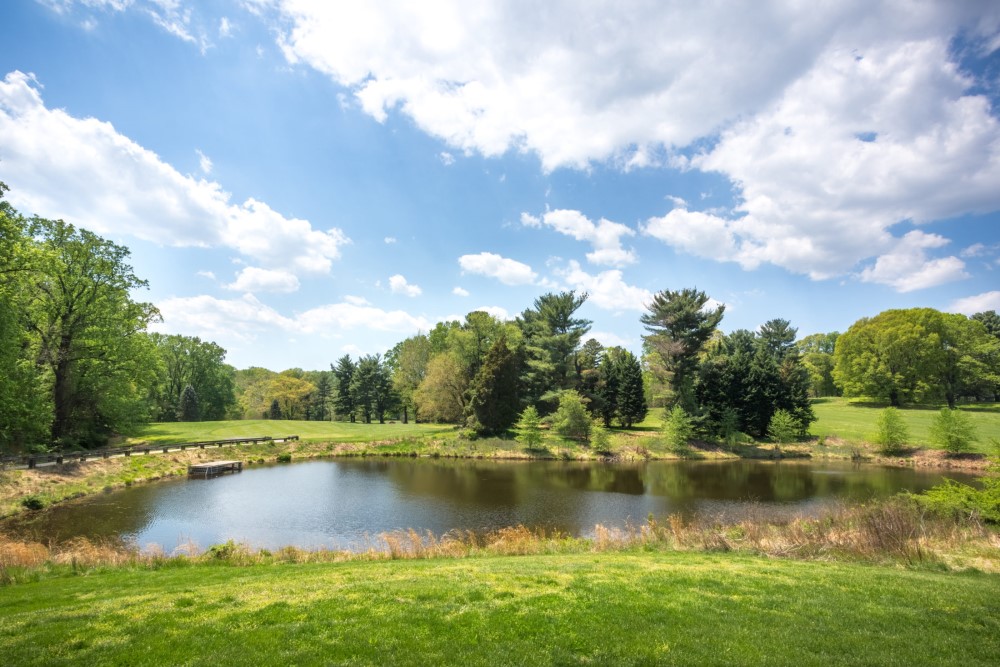 A small pond surrounded by green grass and trees under a partly cloudy blue sky, with sunlight illuminating the landscape and reflections visible on the water.