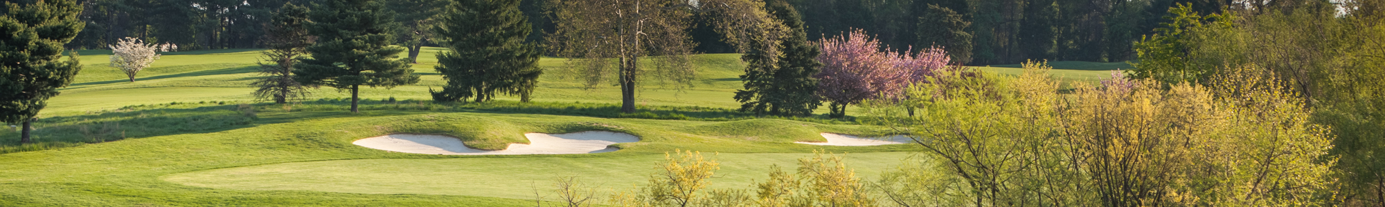 Lush green golf course landscape featuring sand traps and flowering trees in spring.