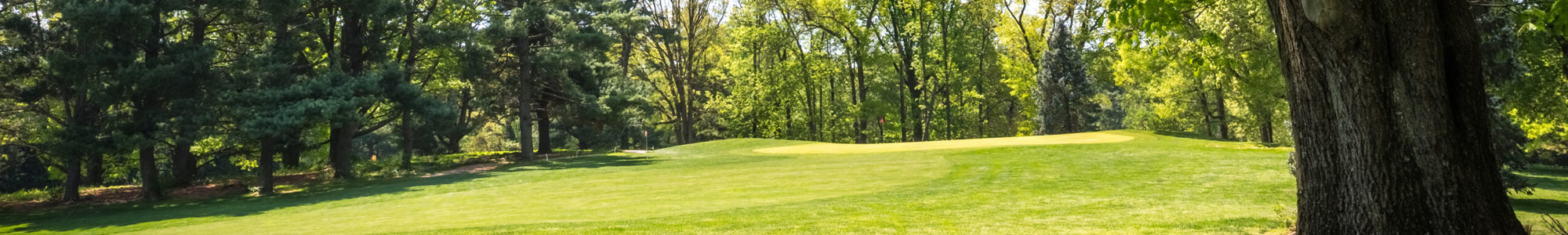 Lush green golf course landscape with trees and a gently sloping hill.