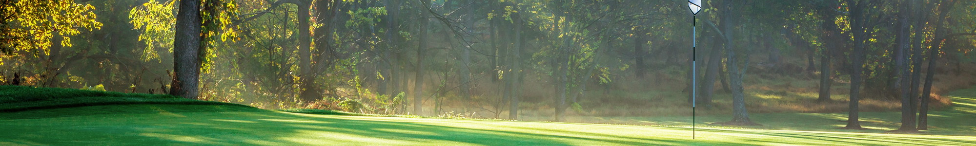 Morning light illuminating a golf course with a flagstick and trees in the background.