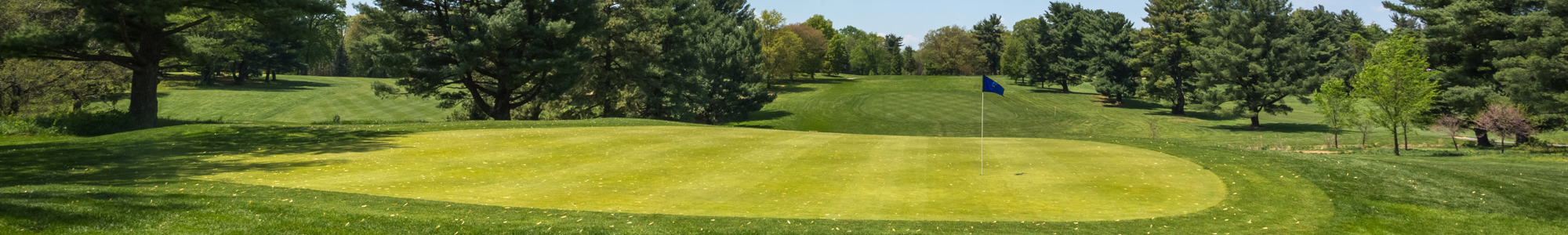 A well-maintained golf green with a blue flag, surrounded by lush trees and rolling hills at Sligo Creek Golf Course.